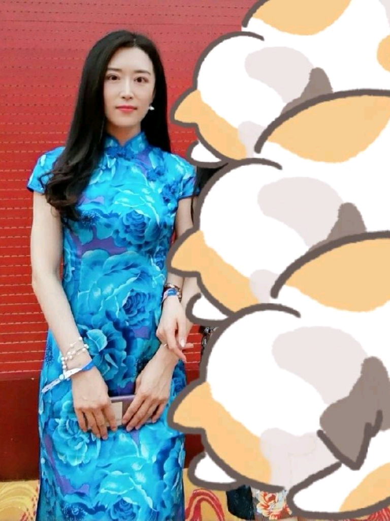 锅锅