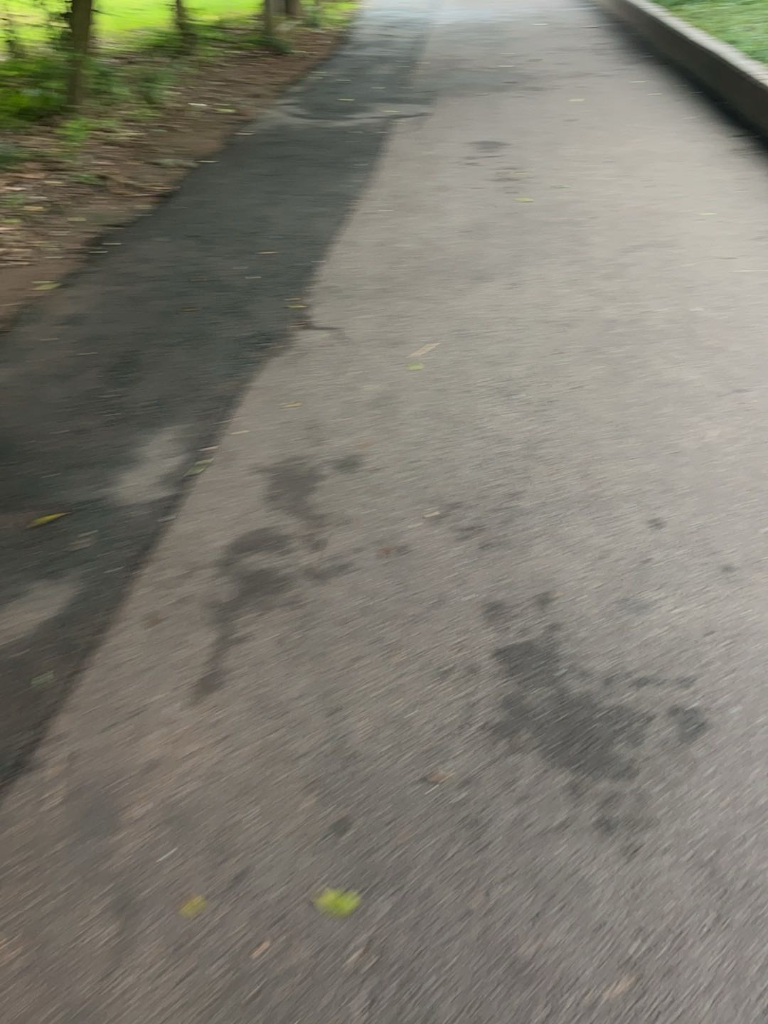。