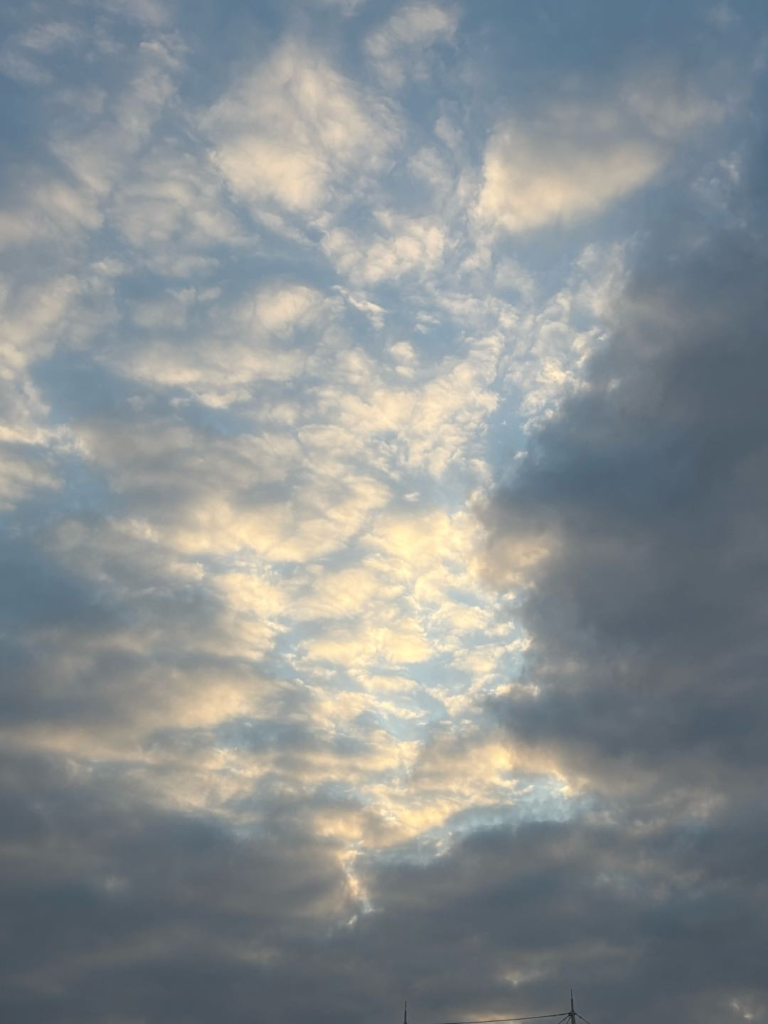 潮湿