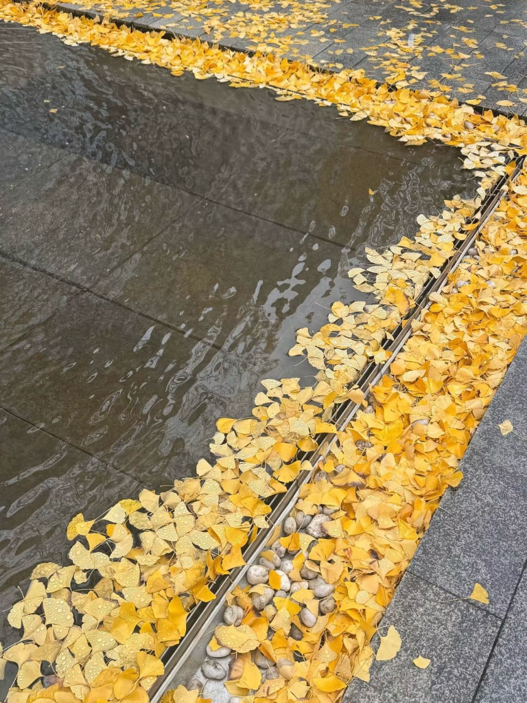 卢禾贤